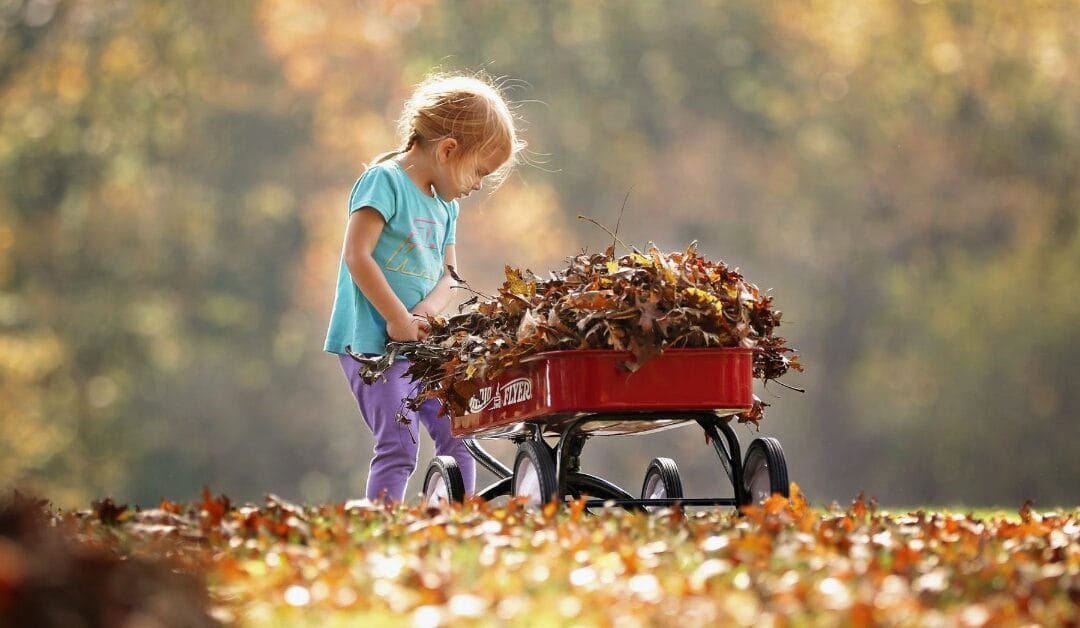 Home Cleanup Tips For Fall