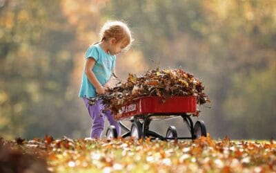 Home Cleanup Tips For Fall