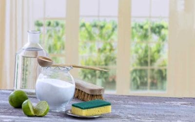Green House Cleaning and Its Importance