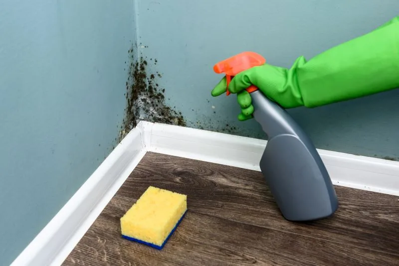 Helping Hands Cleaning Services professional cleaners Helping Hands Cleaning Services professional cleaners