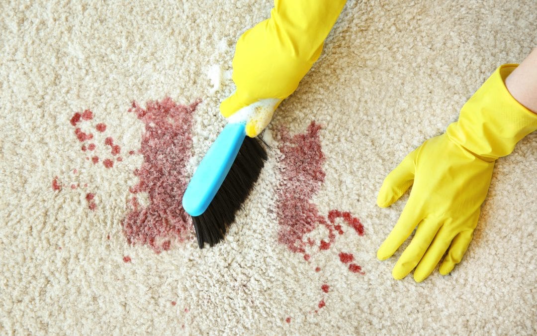 How to Remove Household Stains: Clothes, Carpet, Wood, and Metal