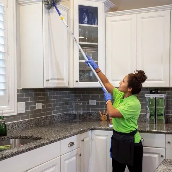 Why Hire a Professional Cleaning Company? Why Hire a Professional Cleaning Company?