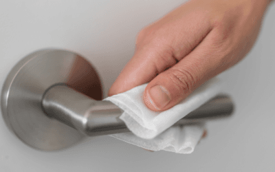 Keep the Flu Away: Why Willowbrook IL Families Choose Weekly House Cleaning in Fall